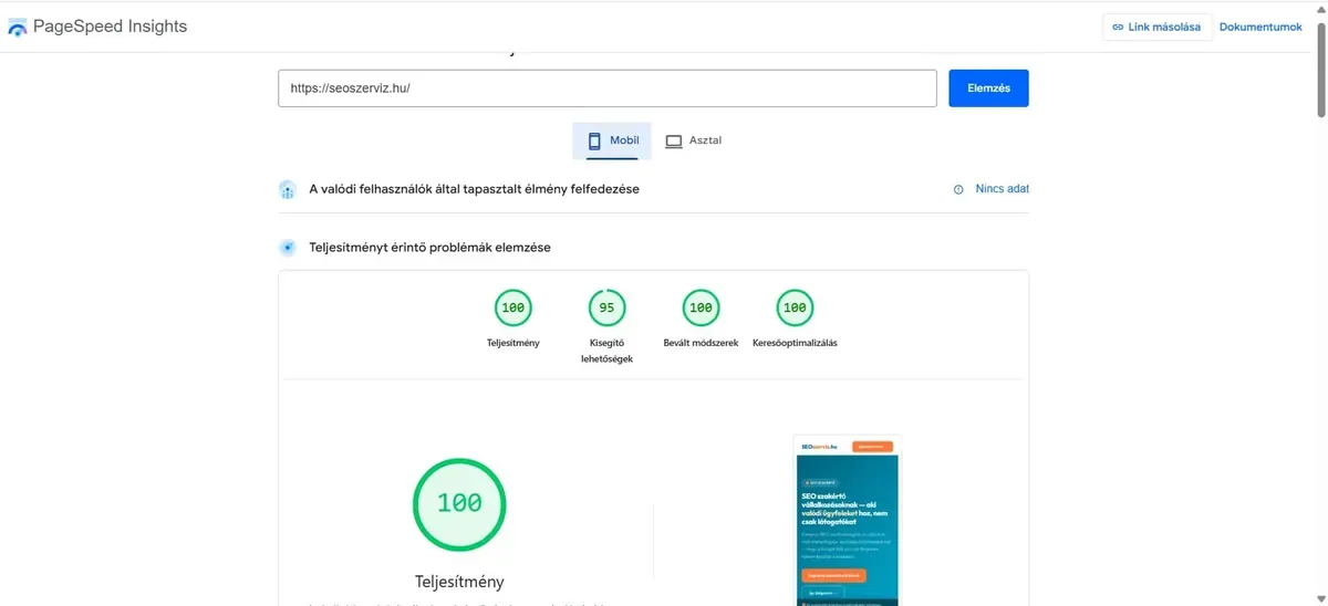 PageSpeed Insights eredmény mobil nézetben - seoszerviz.hu: 100 Teljesítmény, 95 Kisegítő lehetőségek, 100 Bevált módszerek, 100 Keresőoptimalizálás